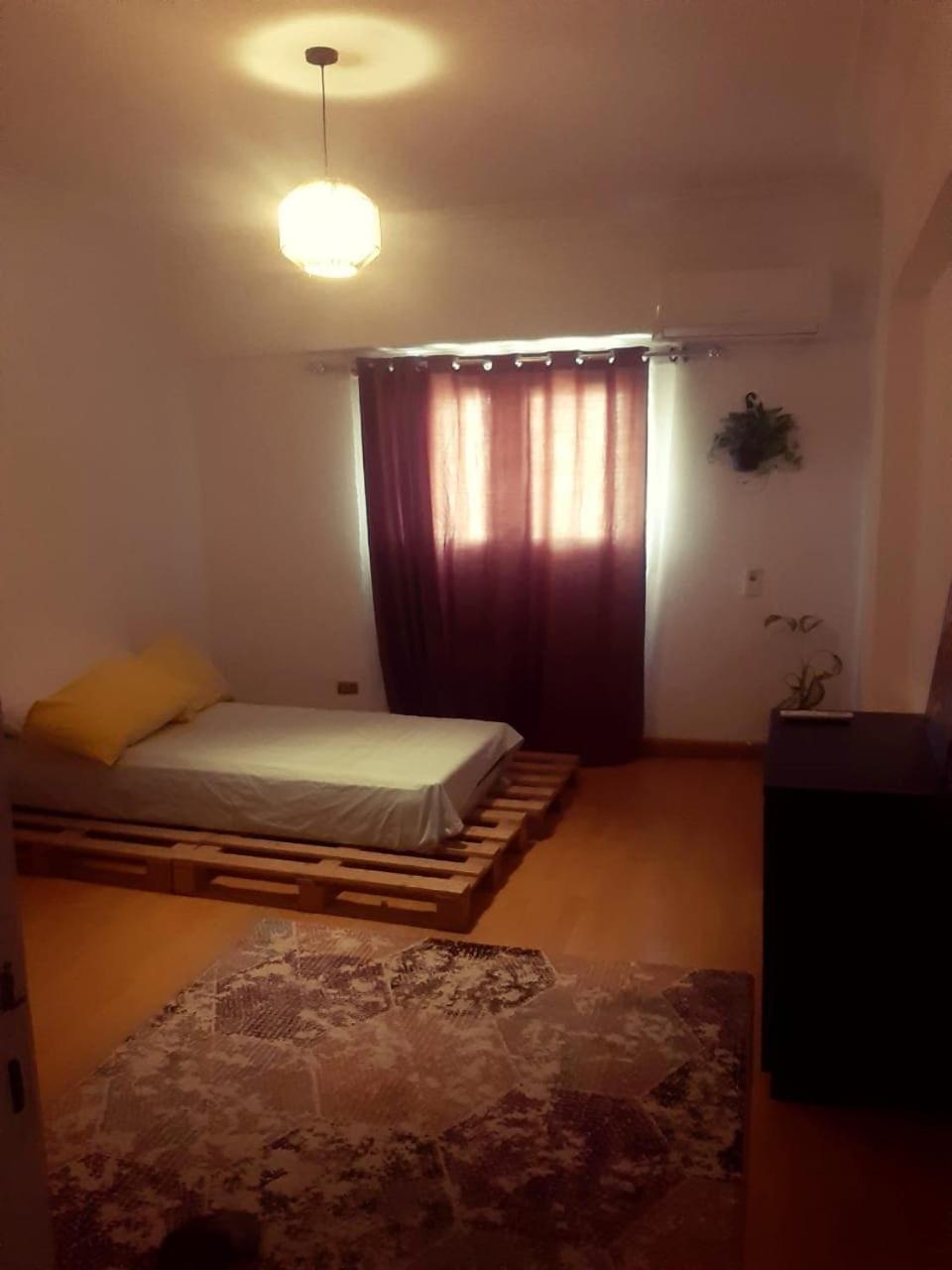 A Sunny Lovely Ladies Only Apartment
