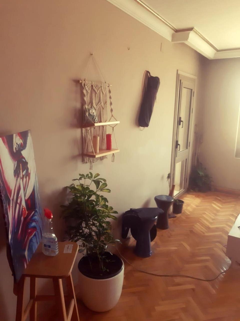 A Sunny Lovely Ladies Only Apartment
